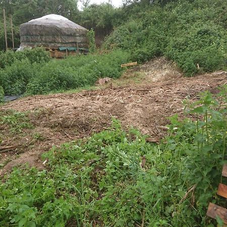 Yourte Rustique En Permaculture Creysse  Exterior foto