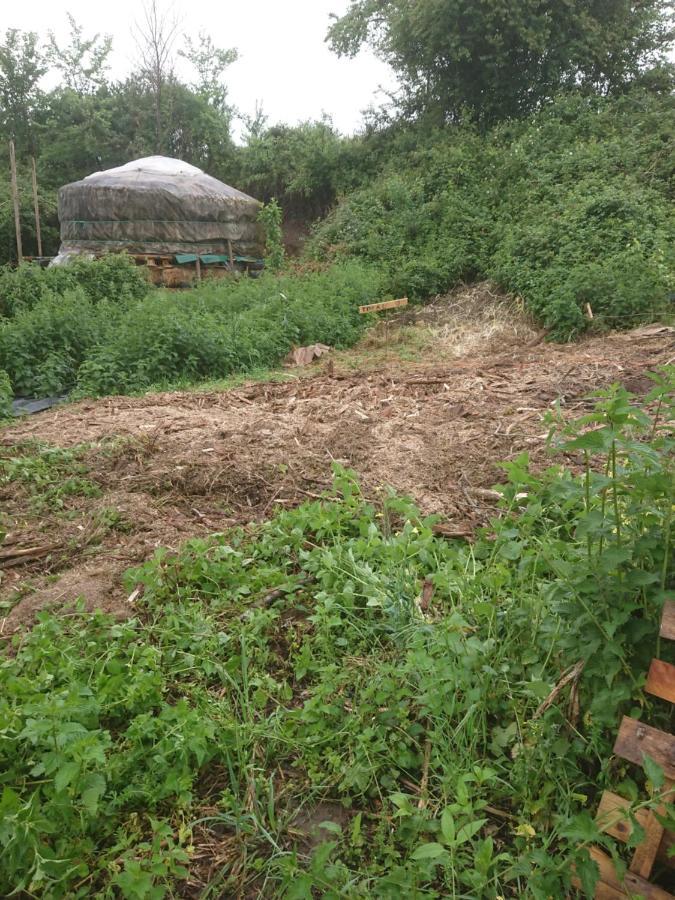 Yourte Rustique En Permaculture Creysse  Exterior foto